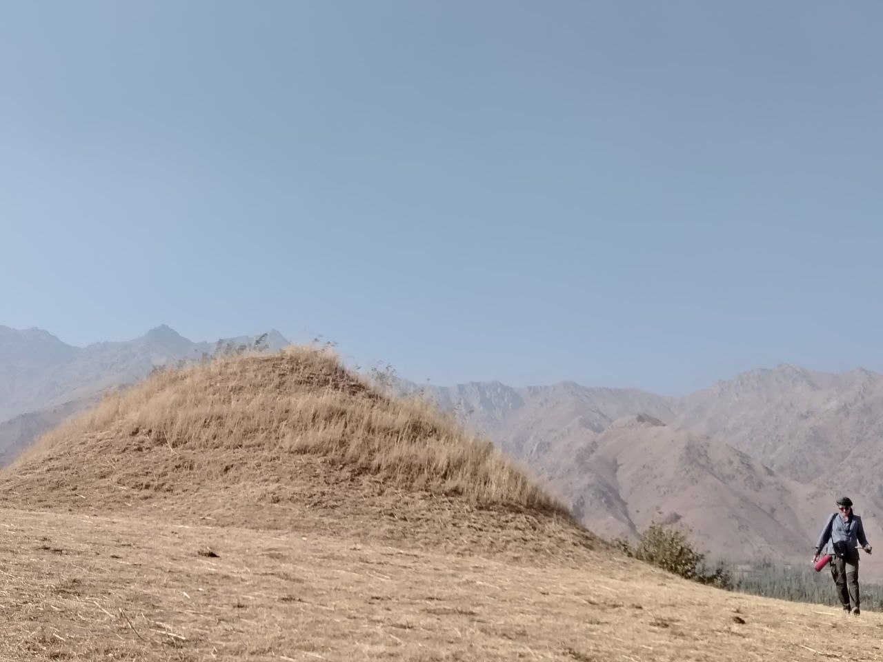 КОРҲОИ ТАДҚИҚОТӢ – ҶУСТУҶӮИИ БОСТОНШИНОСӢ ДАР ЁДГОРИҲОИ ТАЪРИХИЮ БОСТОНИИ НОҲИЯҲОИ РАШТ ВА ТОҶИКОБОД