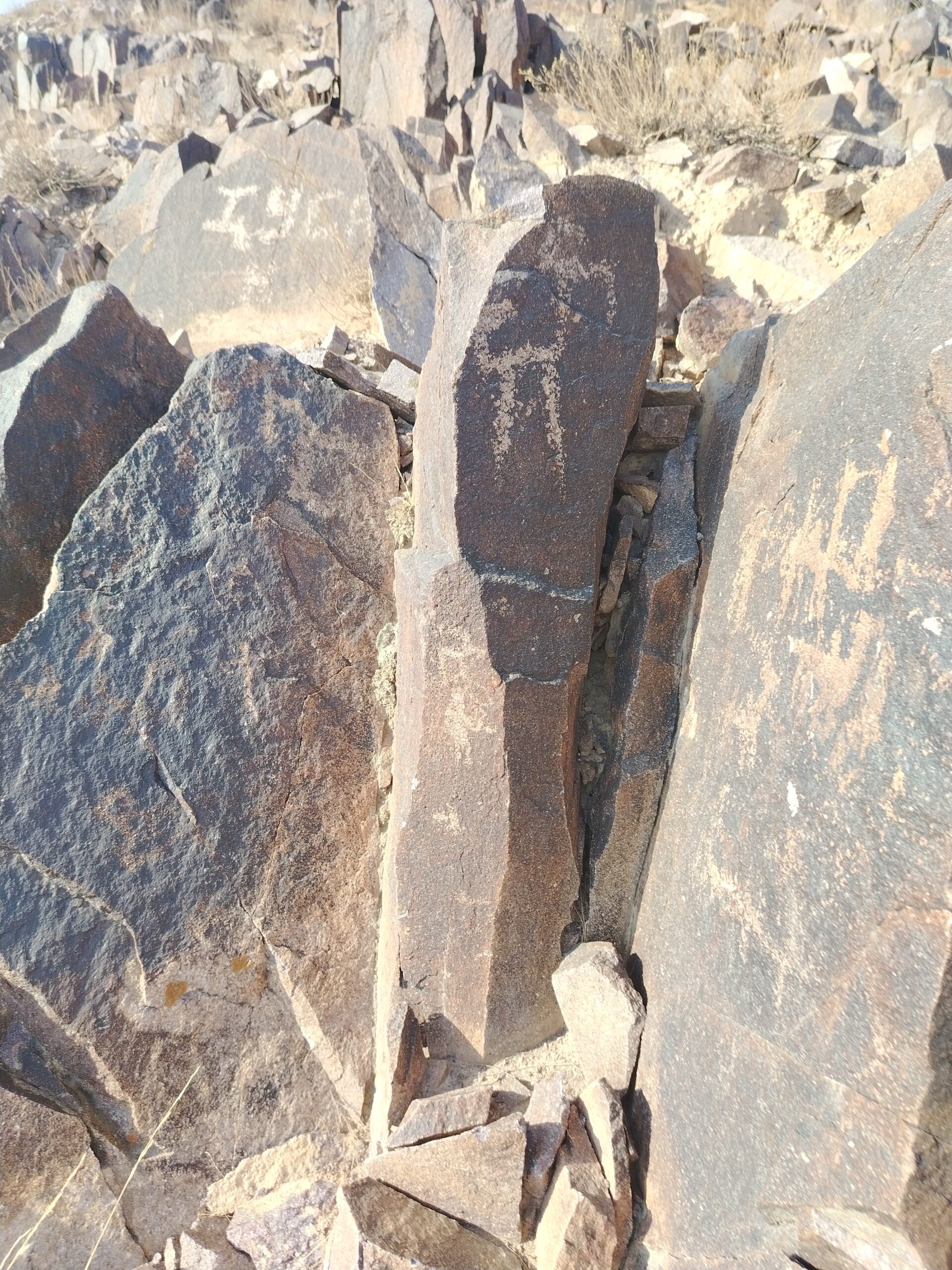 ПЕТРОГЛИФҲО ҲАМЧУН САРЧАШМАИ ТАЪРИХӢ