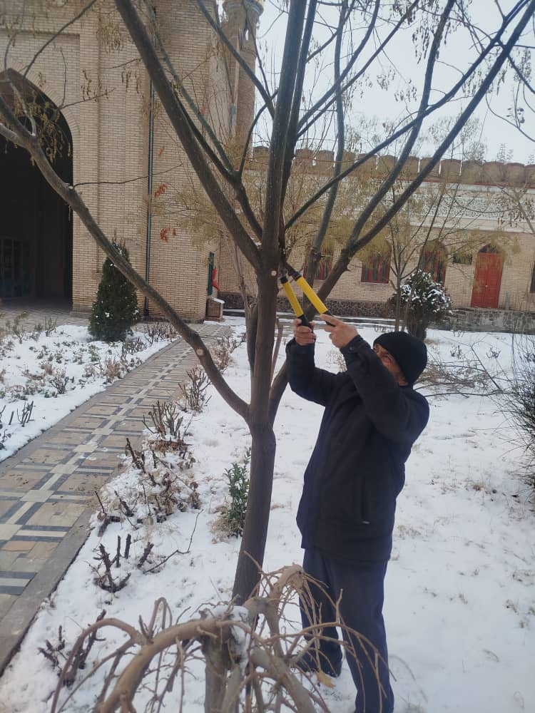 Корҳои ободонӣ ва тозагии ҳудуди муассисаҳои тобеи Агентии ҳифзи мероси таърихию фарҳангии назди Ҳукумати Ҷумҳурии Тоҷикистон бахшида ба 35- солагии Истиқлоли давлатии кишвар бомаром идома дорад.