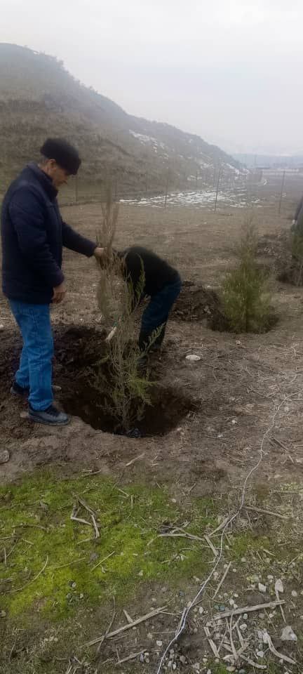 КОРҲОИ ОБОДОНӢ ДАР ПАРТАВИ ПАЁМ