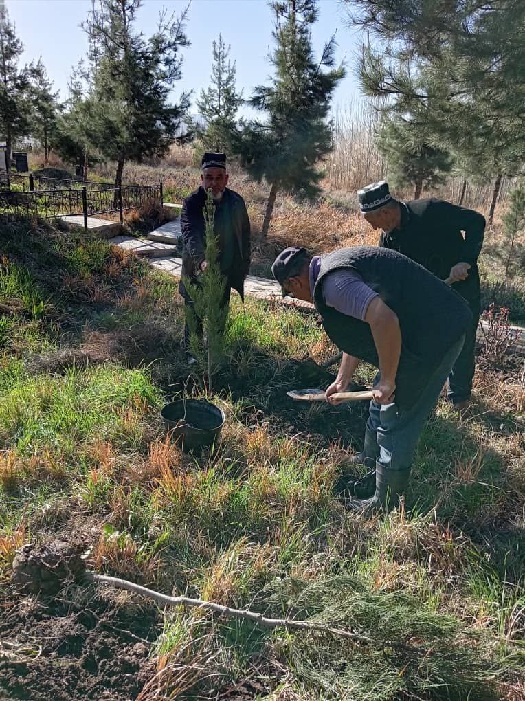 Маъракаи  ниҳолшинонӣ дар ёдгории таърихии Мавлоно Тоҷиддини ноҳияи Данғара.