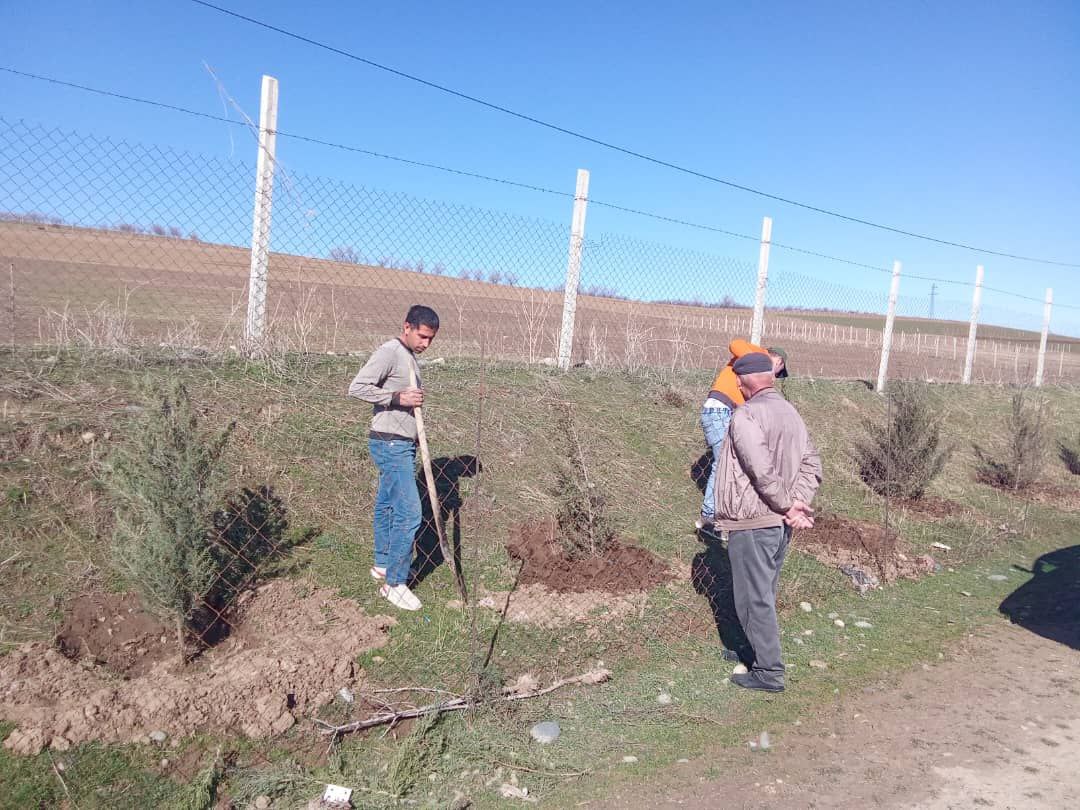 НИҲОЛШИНОНӢ ДАР ОСОРХОНАИ ВОСЕЪ