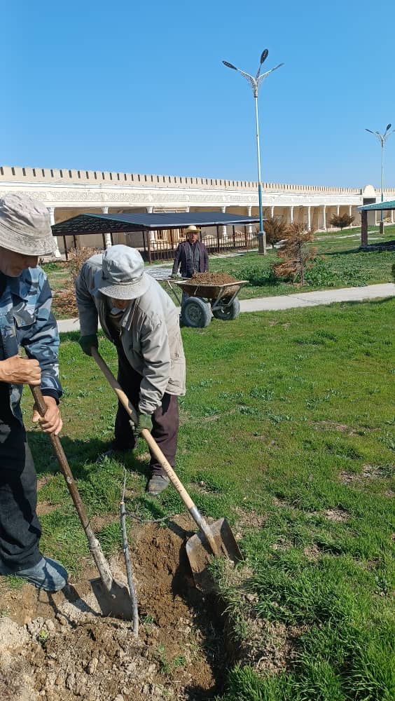 МАЪРАКАИ НИҲОЛШИНОНӢ ДАР ЁДГОРИ ТАЪРИХИИ ҚАЛЪАИ МУҒИ ШАҲРИ ИСТАРАВШАН