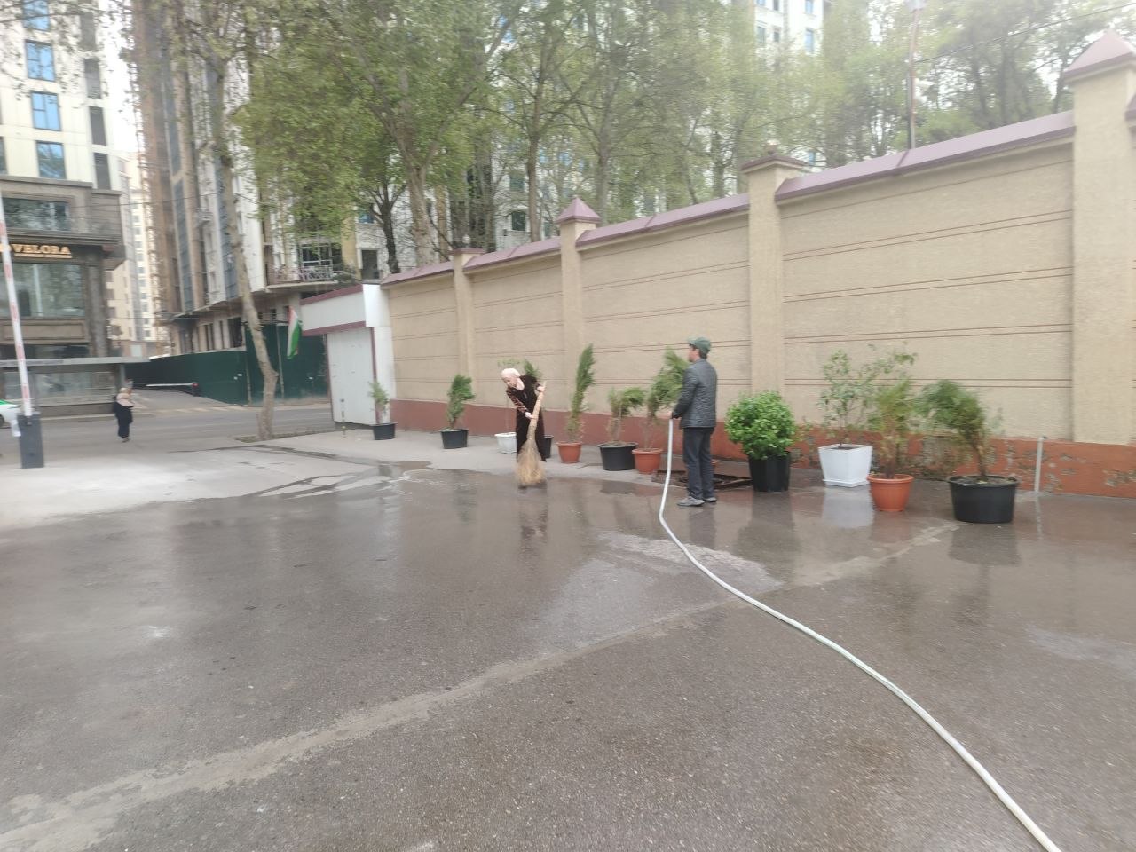  ШАНБЕГИИ  ДАСТҶАМЪОНА