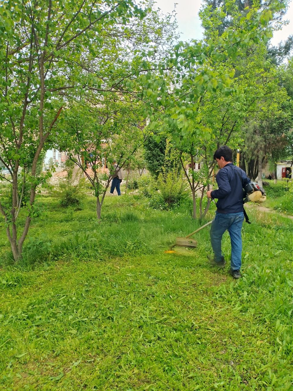  РАВАНДИ КОРҲОИ ОБОДОНӢ ДАР МУАССИСАИ ДАВЛАТИИ “ОСОРХОНА-МАМНӮЪГОҲИ ҶУМҲУРИЯВИИ ДАНҒАРА